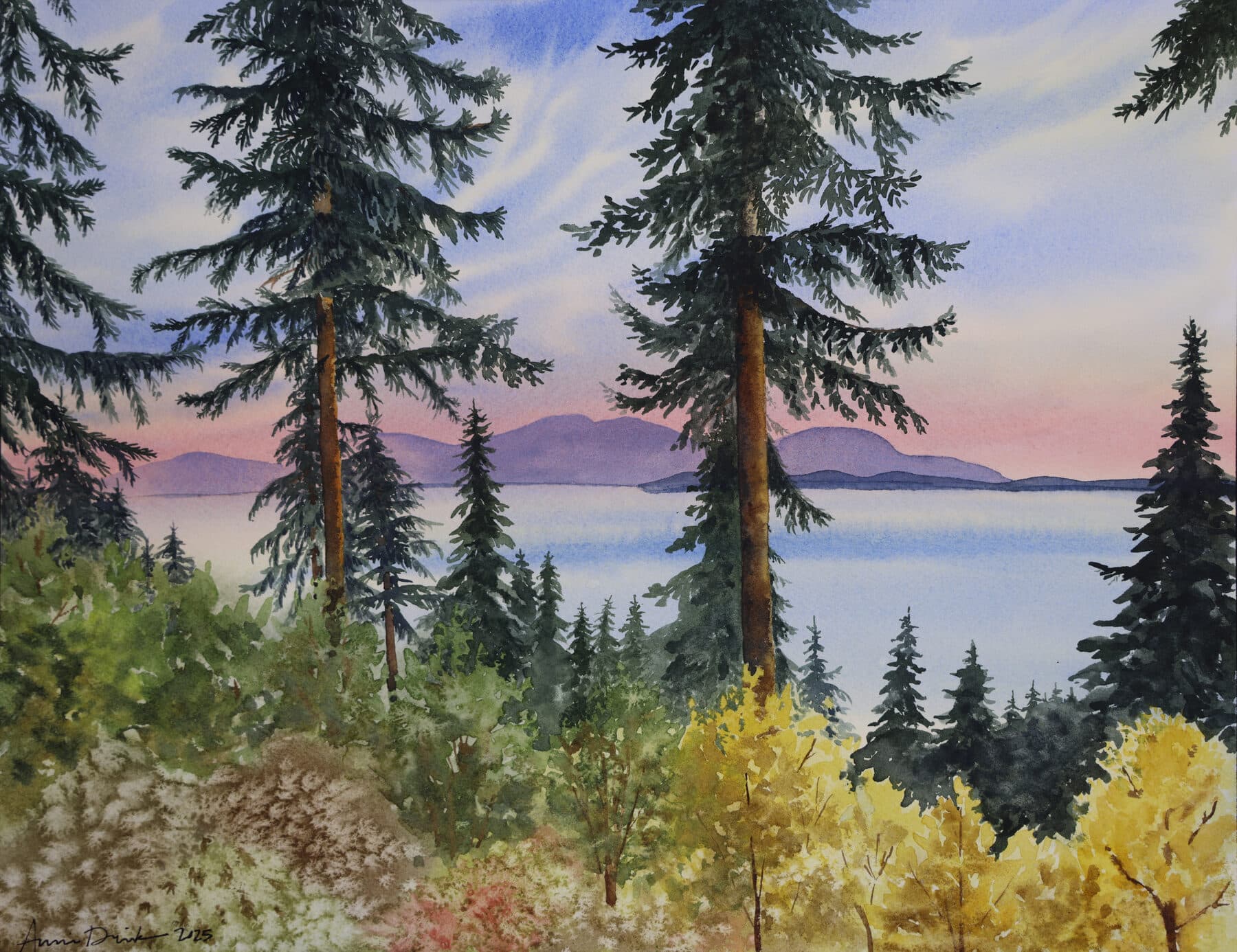 Watercolor painting of Bellingham Tree Tops