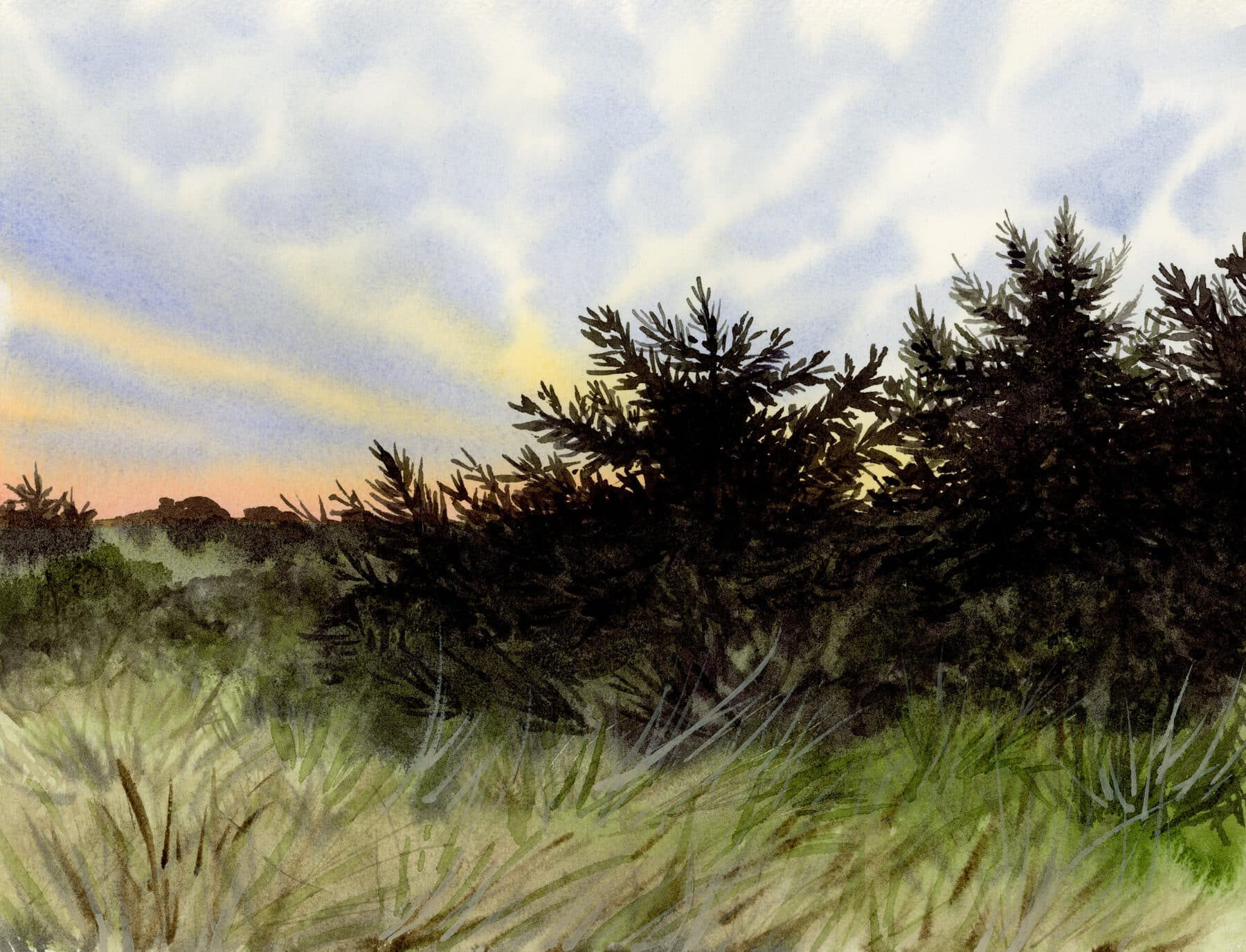 Watercolor painting of Gold Beach Sunset Trees