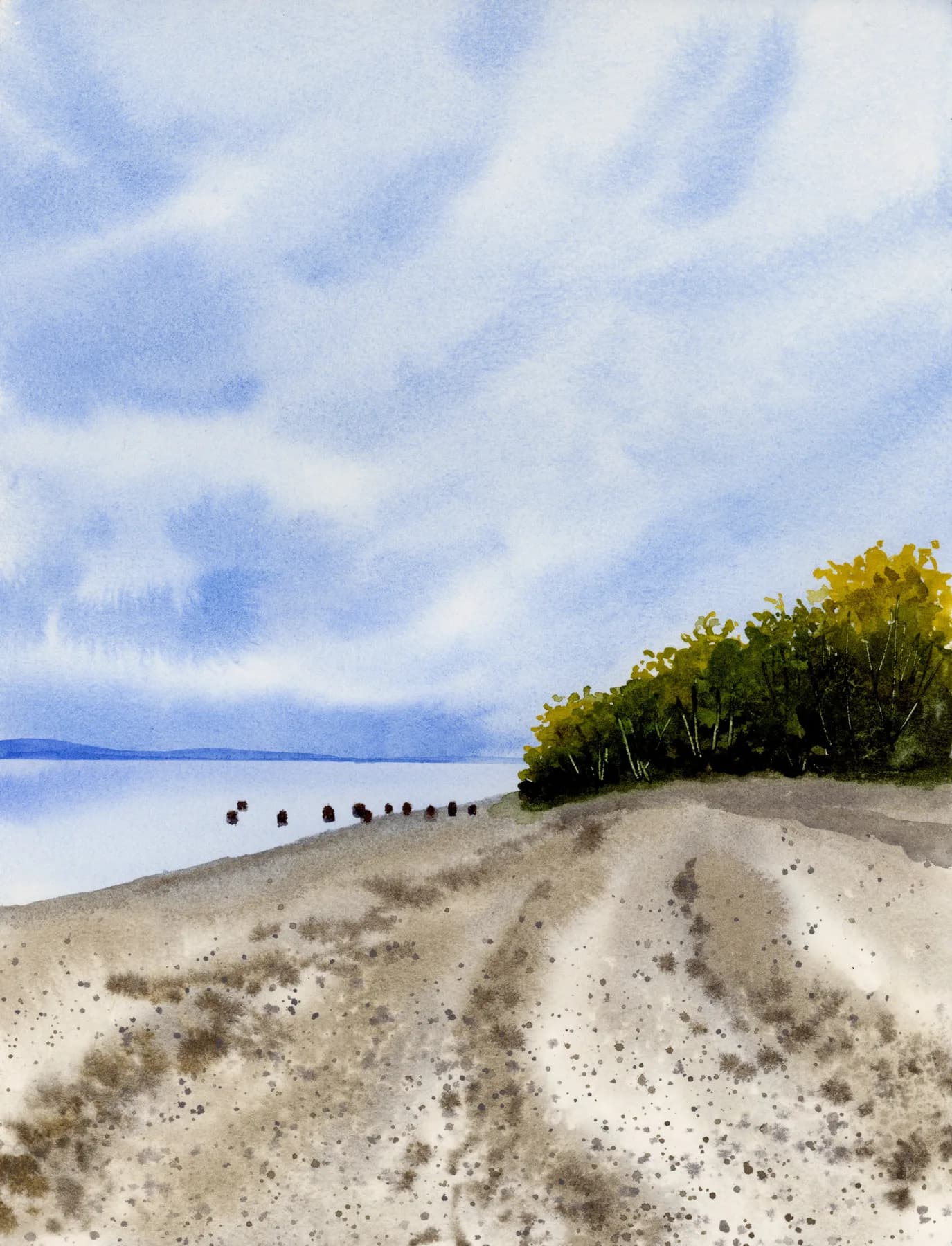 Watercolor painting of Golden Gardens Copse of Trees