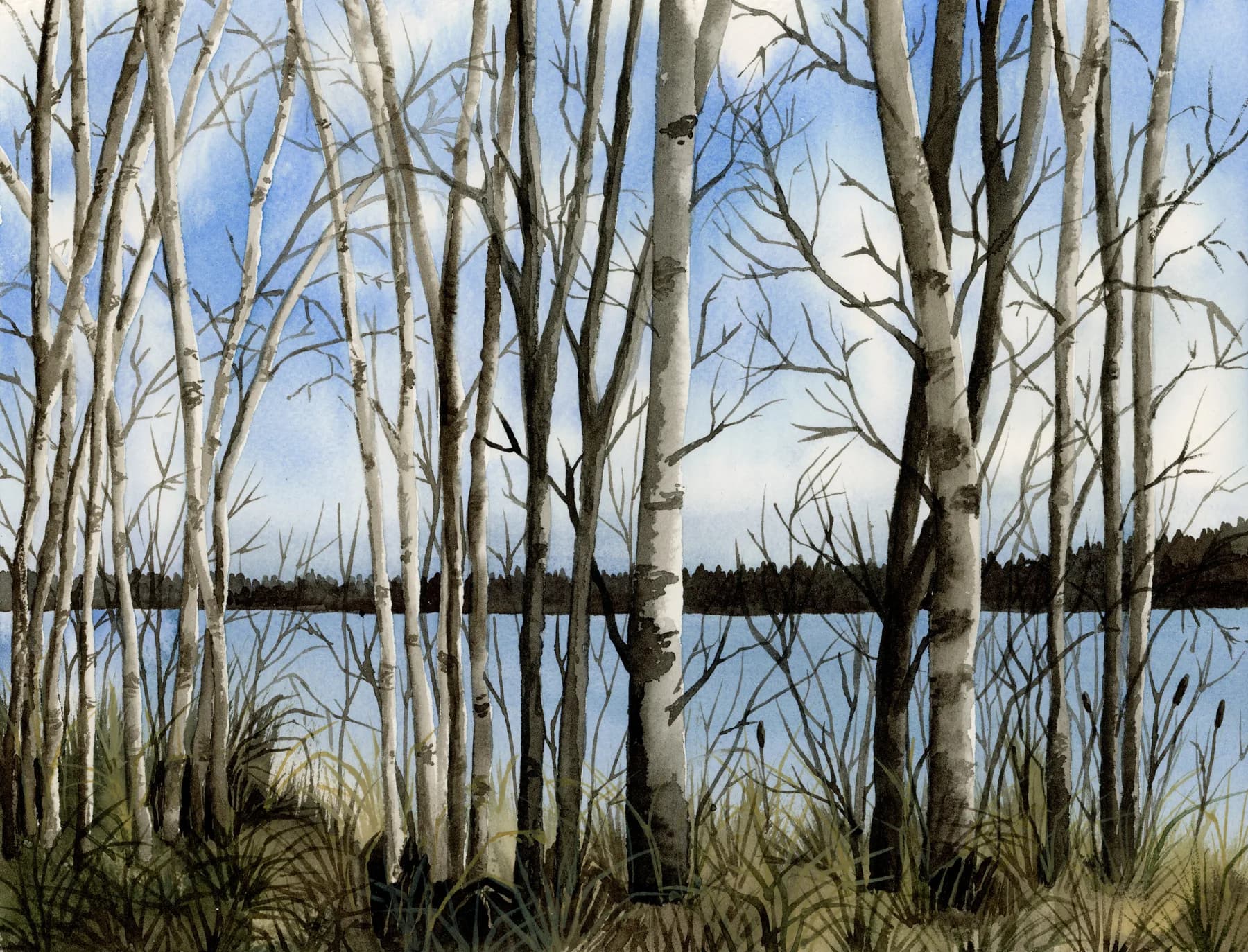 Watercolor painting of Green Lake Through the Trees