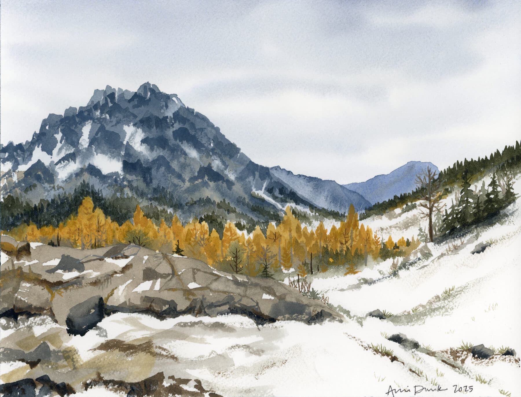 Watercolor painting of Larches