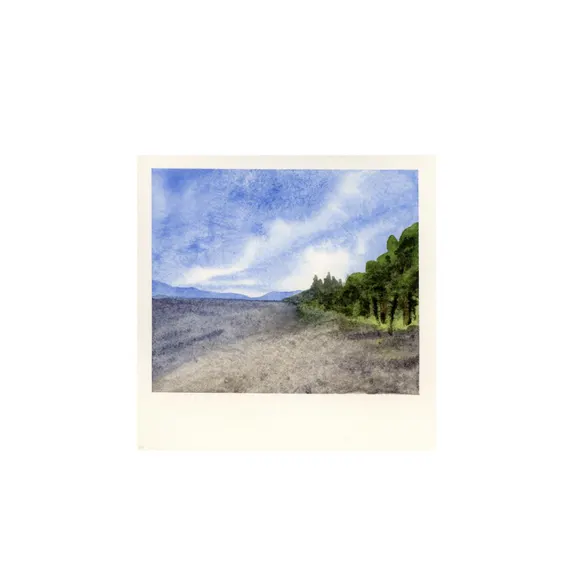 Original Watercolor Landscape 4x4 "Polaroid"- Camano Island
